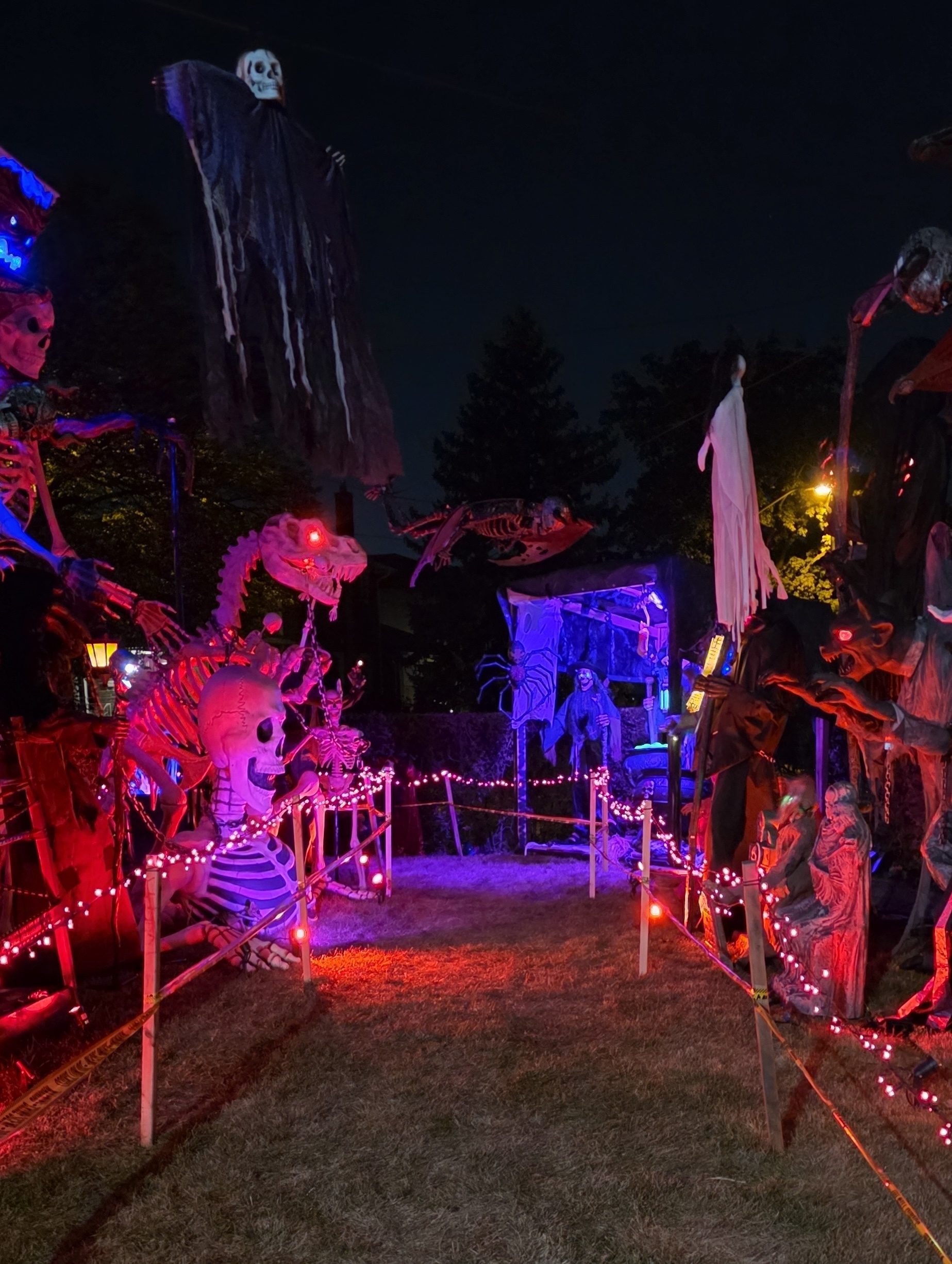 Nighttime view of an Etobicoke yard Halloween walkthrough with illuminated skeleton figures, hanging ghosts and a decorated path.